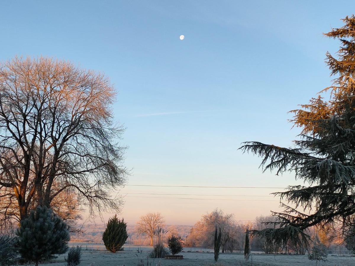 Berneuil  Domaine De Panissac Bed & Breakfast エクステリア 写真